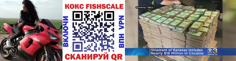 что такое   Вилючинск  MEGA ONION  Cocaine Fish Scale 
