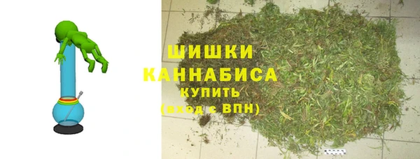 хмурый Гусев