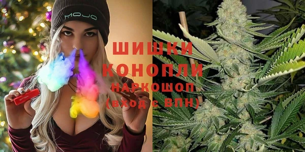 прущие грибы Гусиноозёрск