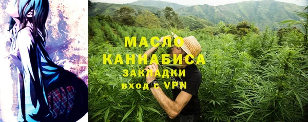 хмурый Гусев