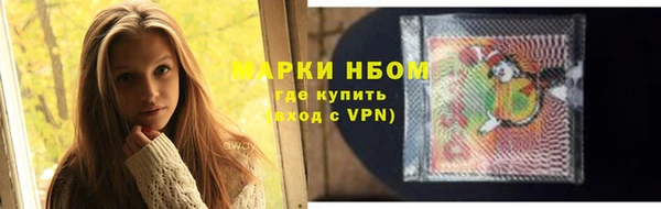 прущие грибы Гусиноозёрск