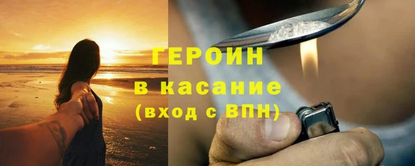 прущие грибы Гусиноозёрск