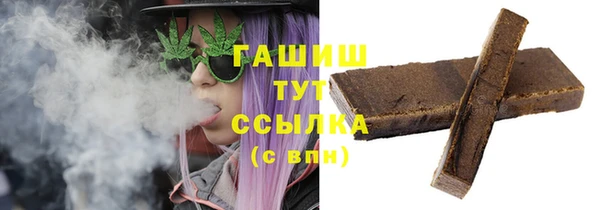 прущие грибы Гусиноозёрск