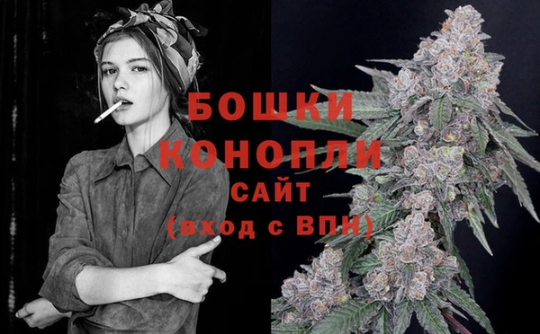 хмурый Гусев
