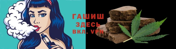 хмурый Гусев