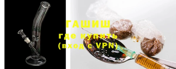 прущие грибы Гусиноозёрск