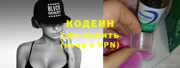 хмурый Гусев