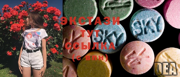 хмурый Гусев