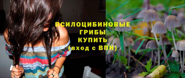 хмурый Гусев