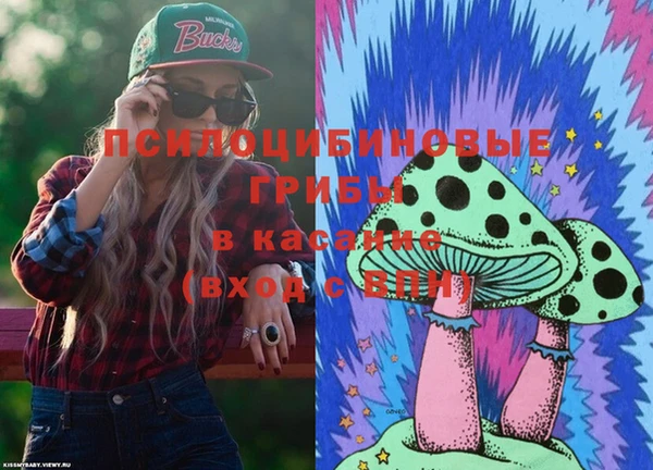 прущие грибы Гусиноозёрск