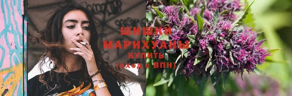 прущие грибы Гусиноозёрск