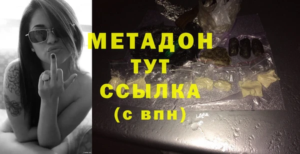 прущие грибы Гусиноозёрск
