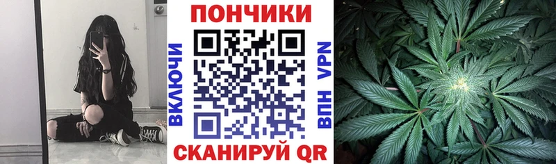 Конопля планчик  Вилючинск 